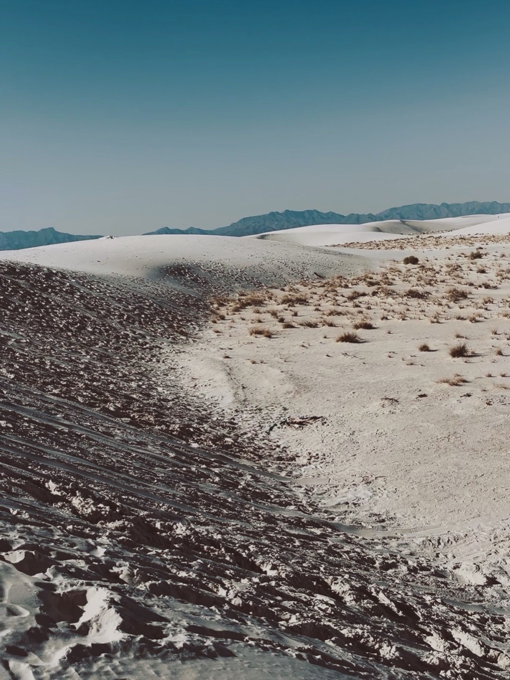 ロードトリップ｜ホワイトサンズ国立公園